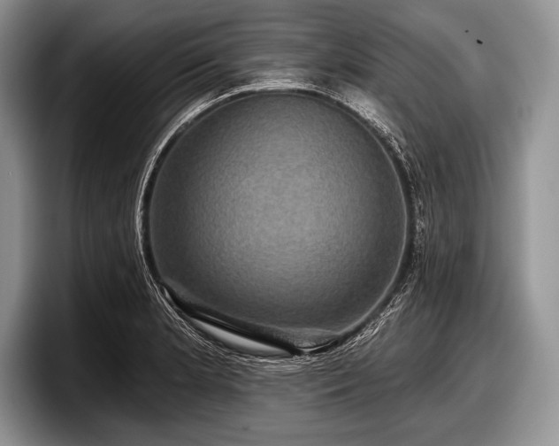 X0000097891181200803211349