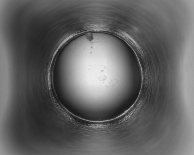 X0000097891182200803211349