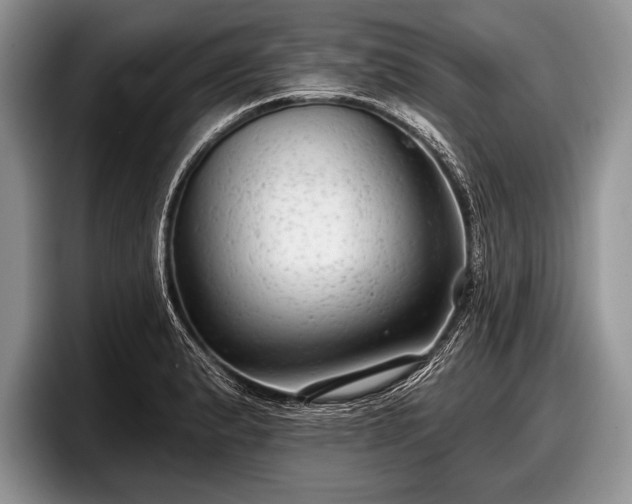 X0000097891183200803211349