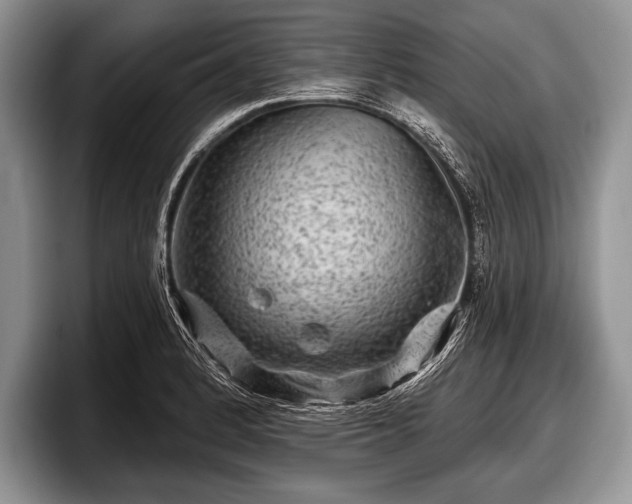 X0000097891184200803211349