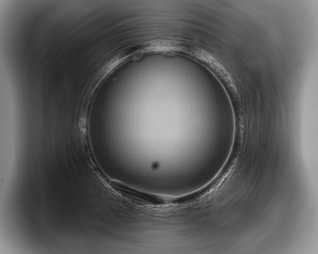 X0000097891185200803211349