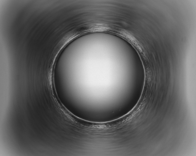 X0000097891186200803211349