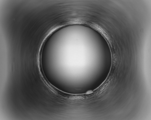 X0000097891187200803211349