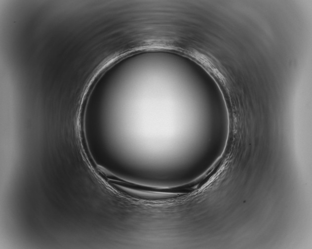 X0000097891189200803211349