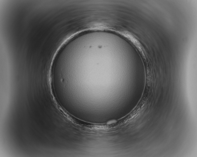 X0000097891191200803211349