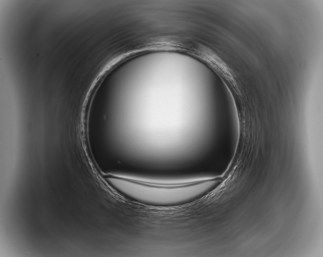 X0000097891192200803211349