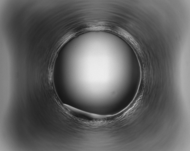 X0000097891193200803211349