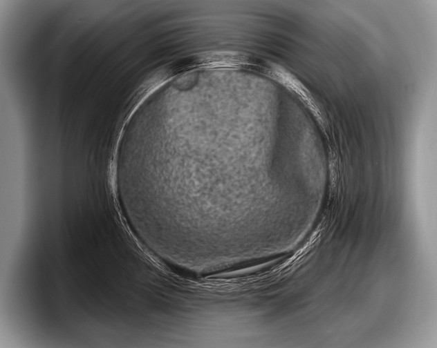 X0000097891194200803211349