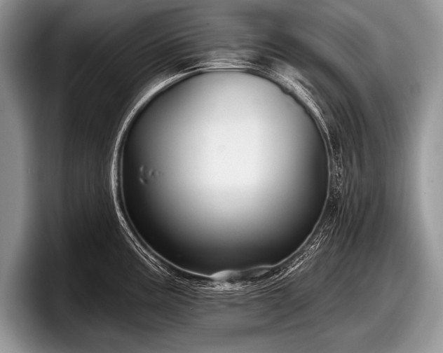 X0000097891195200803211349