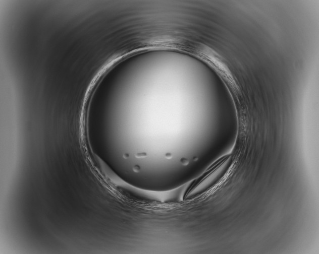 X0000097891196200803211349