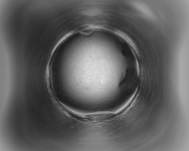 X0000097891198200803211349