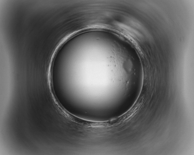 X0000097891199200803211349