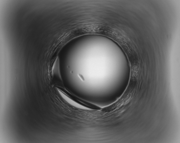 X0000097891202200803211348