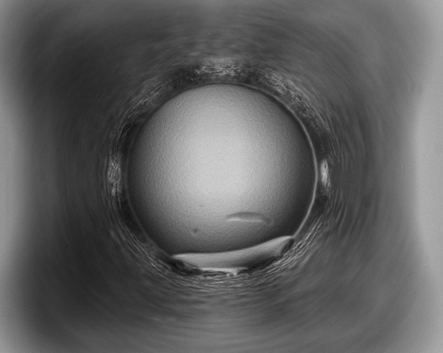 X0000097891203200803211348