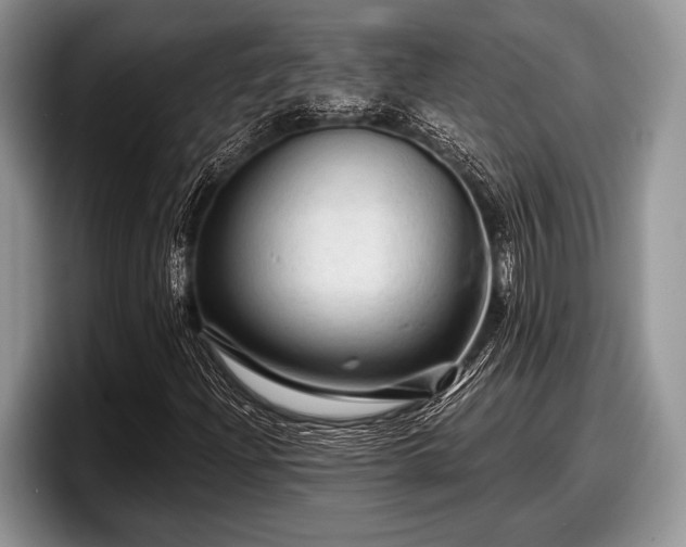 X0000097891204200803211348