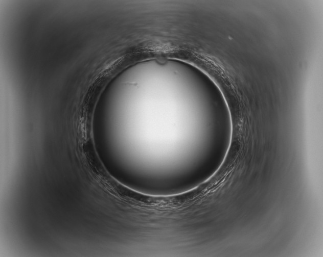 X0000097891205200803211348