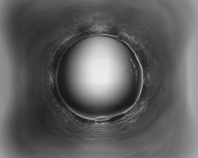 X0000097891206200803211348