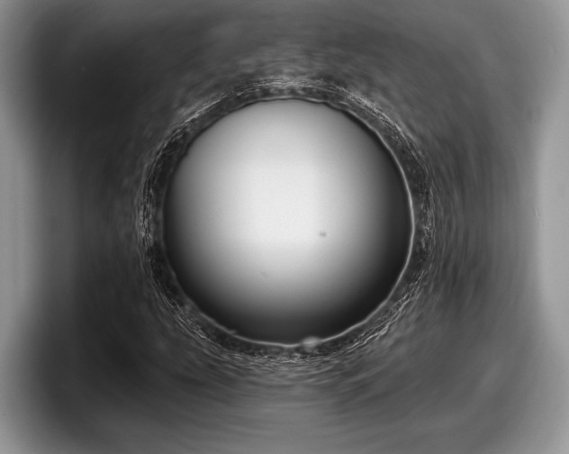 X0000097891207200803211348