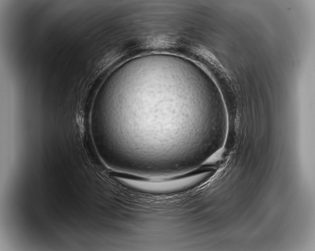 X0000097891209200803211348