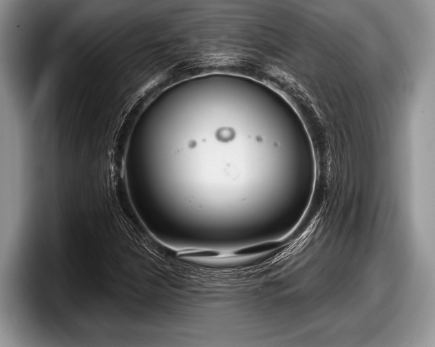 X0000097891210200803211348