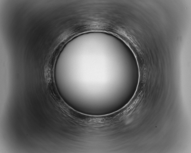 X0000097891211200803211348