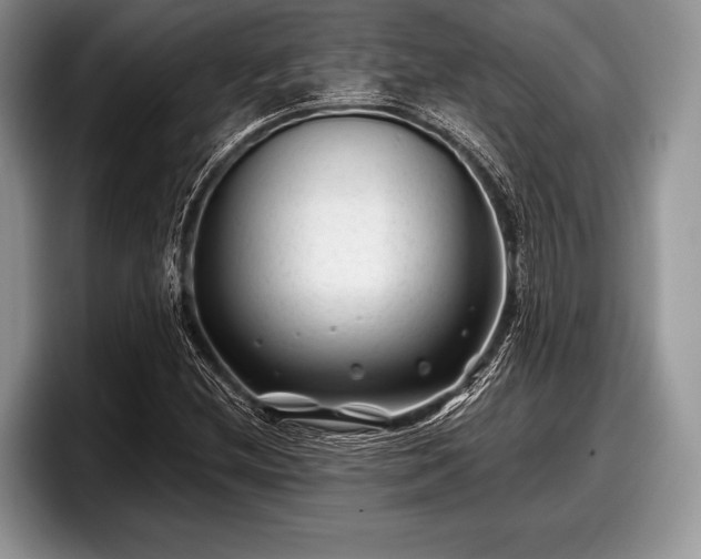 X0000097891212200803211348