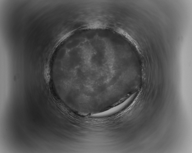 X0000097891213200803211349