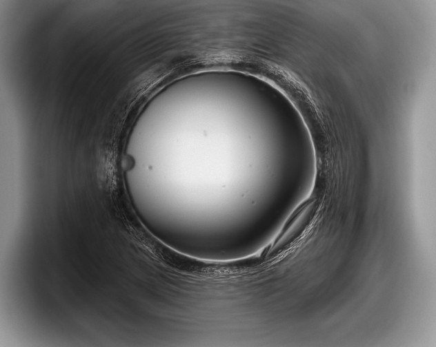 X0000097891217200803211349