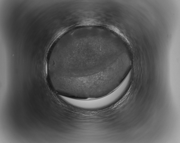 X0000097891221200803211349