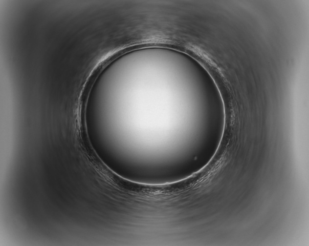 X0000097891222200803211349