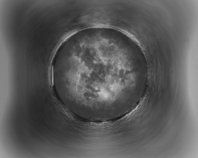 X0000097891223200803211349