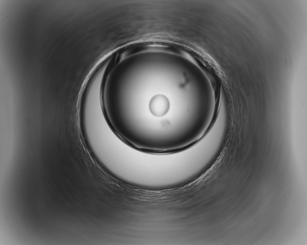 X0000097891224200803211349