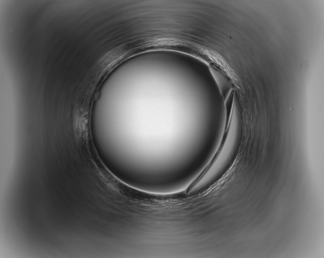 X0000097891225200803211349