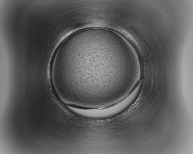 X0000097891230200803211349