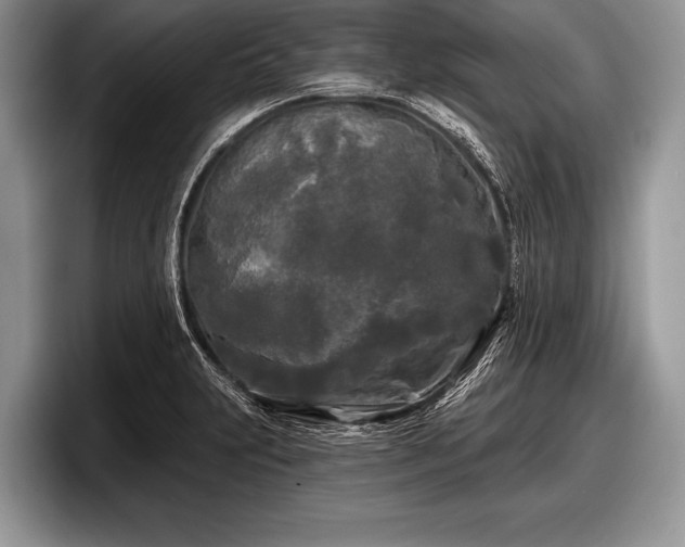 X0000097891231200803211349