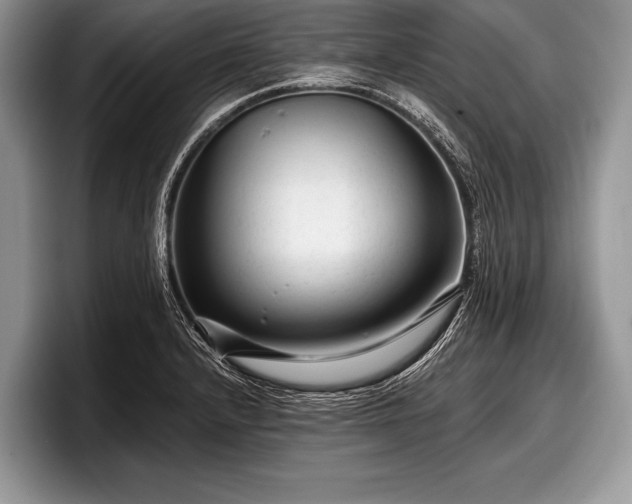 X0000097891232200803211349