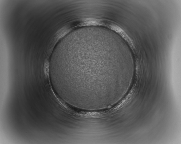 X0000097891233200803211349