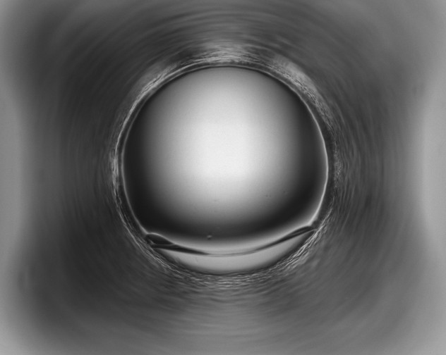 X0000097891234200803211349