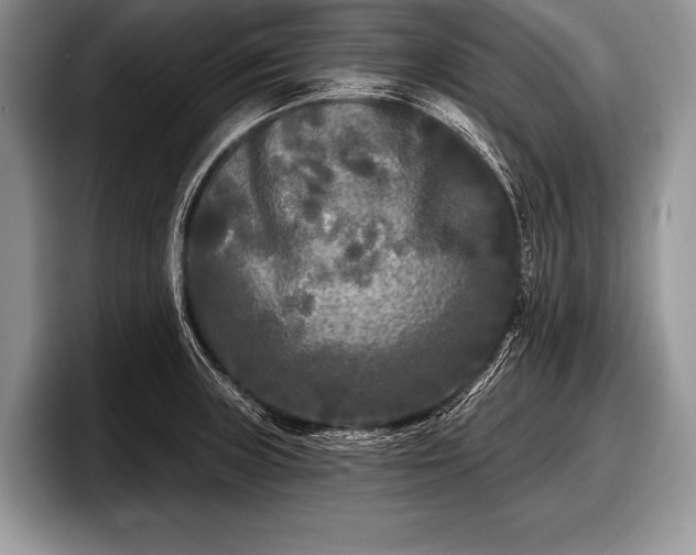 X0000097891235200803211349