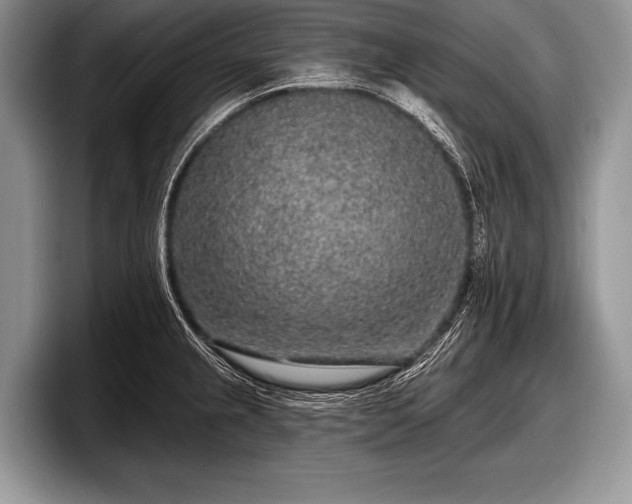 X0000097891237200803211349