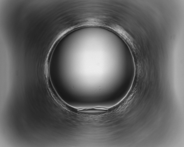 X0000097891238200803211349