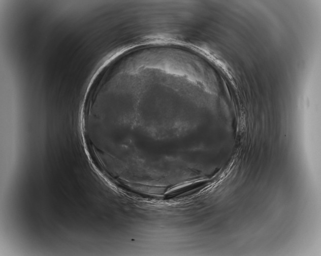 X0000097891239200803211349