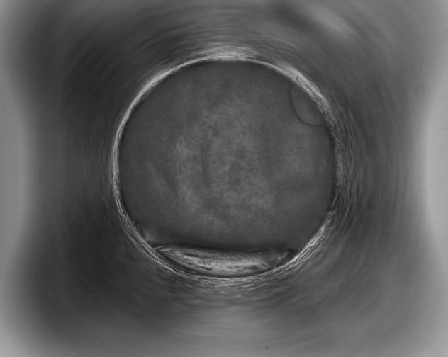 X0000097891240200803211349