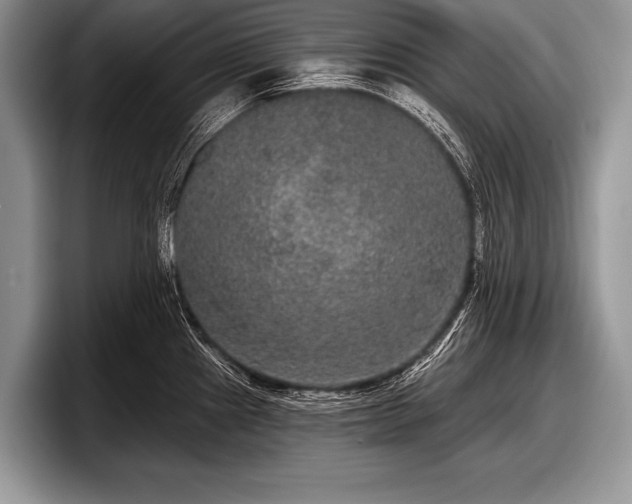 X0000097891241200803211349