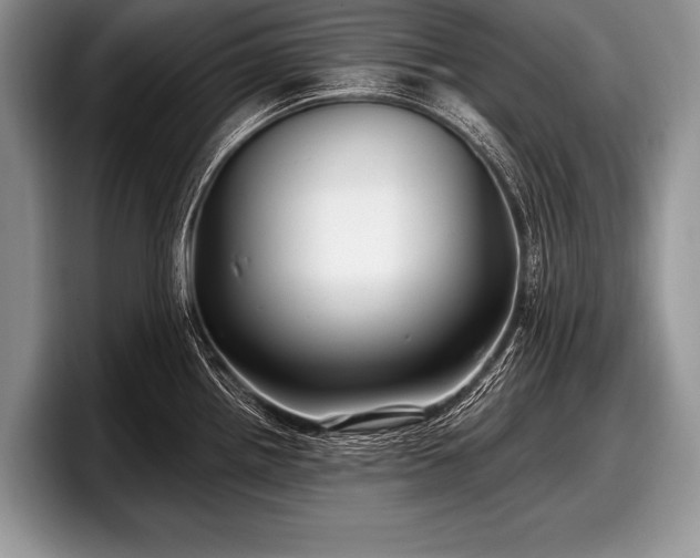 X0000097891242200803211349