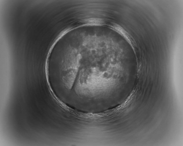 X0000097891243200803211349