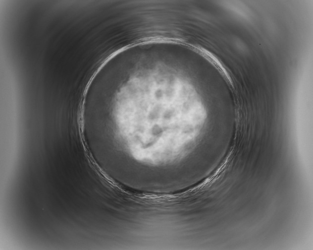 X0000097891244200803211349