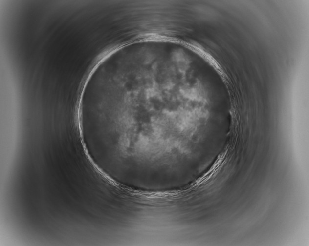 X0000097891247200803211349