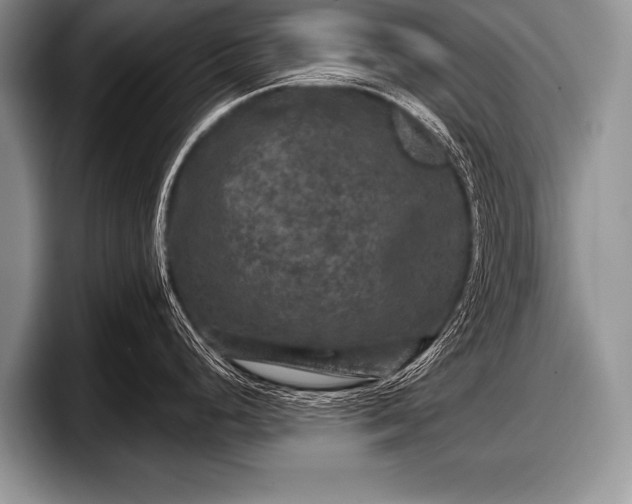 X0000097891248200803211349