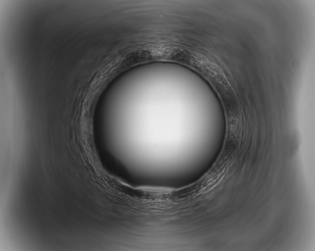 X0000097891249200803211348